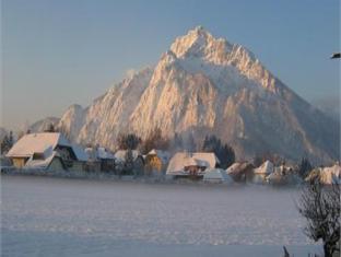 Hotel Friesacher`s Aniferhof 写真