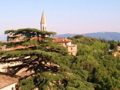 ホテル シーニャ 写真