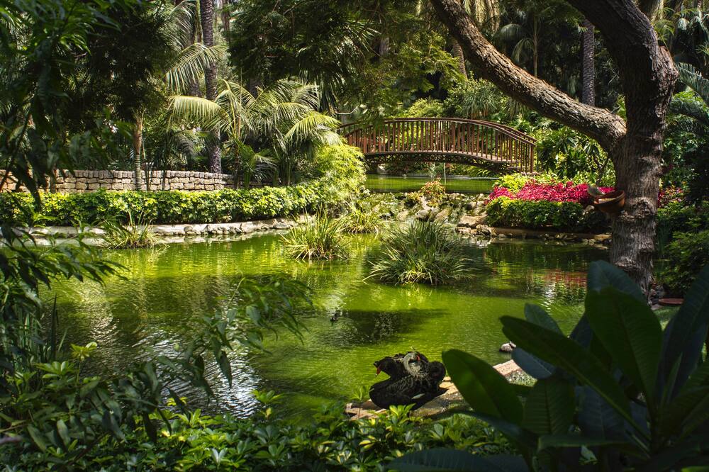 Hotel Botanico & The Oriental Spa Garden 写真