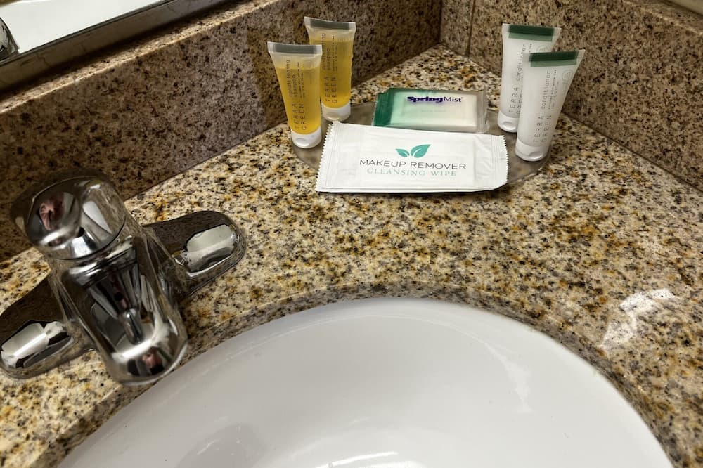 バジェット イン 写真