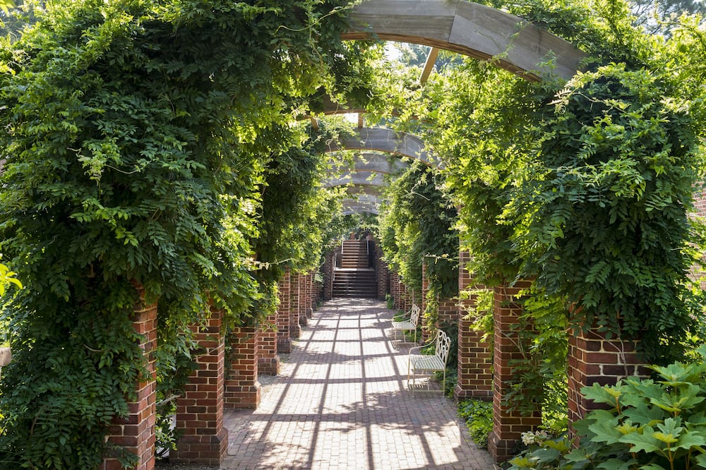 Williamsburg Lodge, Autograph Collection 写真