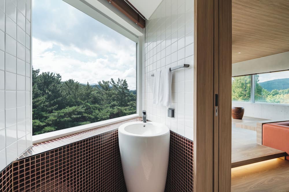 キノック ペット ホテル 写真