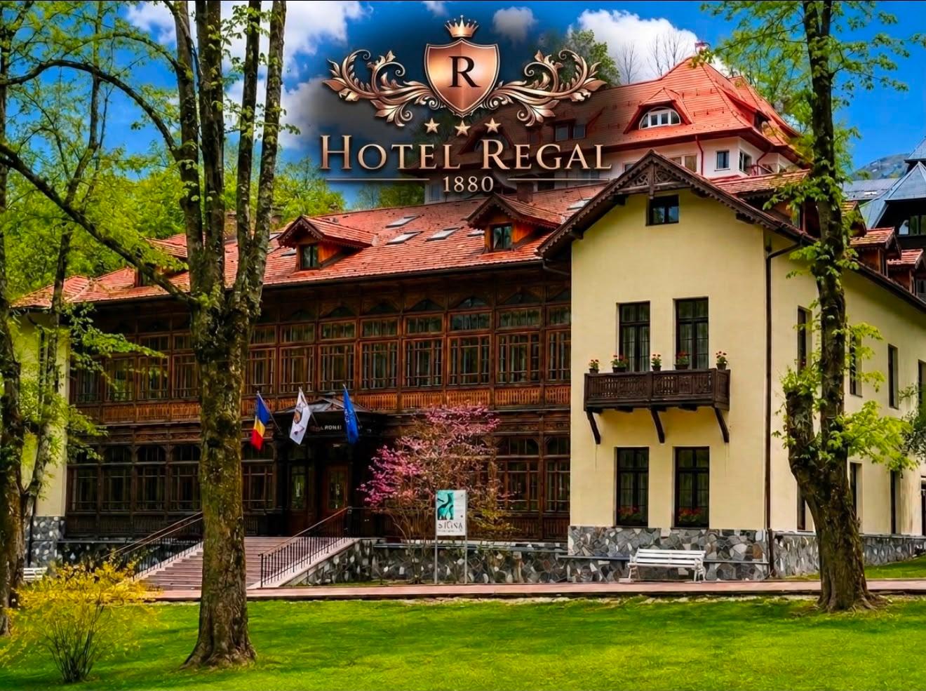 Hotel Regal 1880 - Boutique Hotel Parcul Central 写真