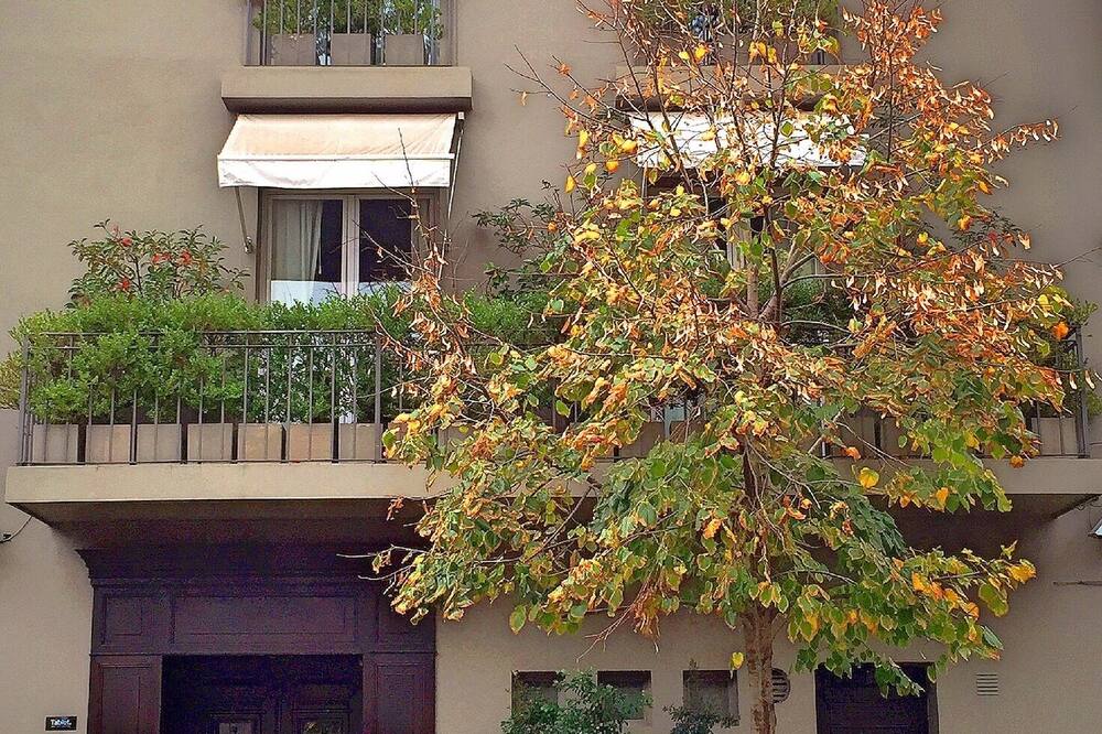 Legado Mitico 写真