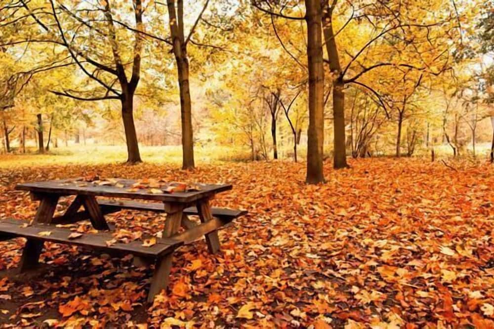 Gourmet & Relax Hotel De La Sure 写真