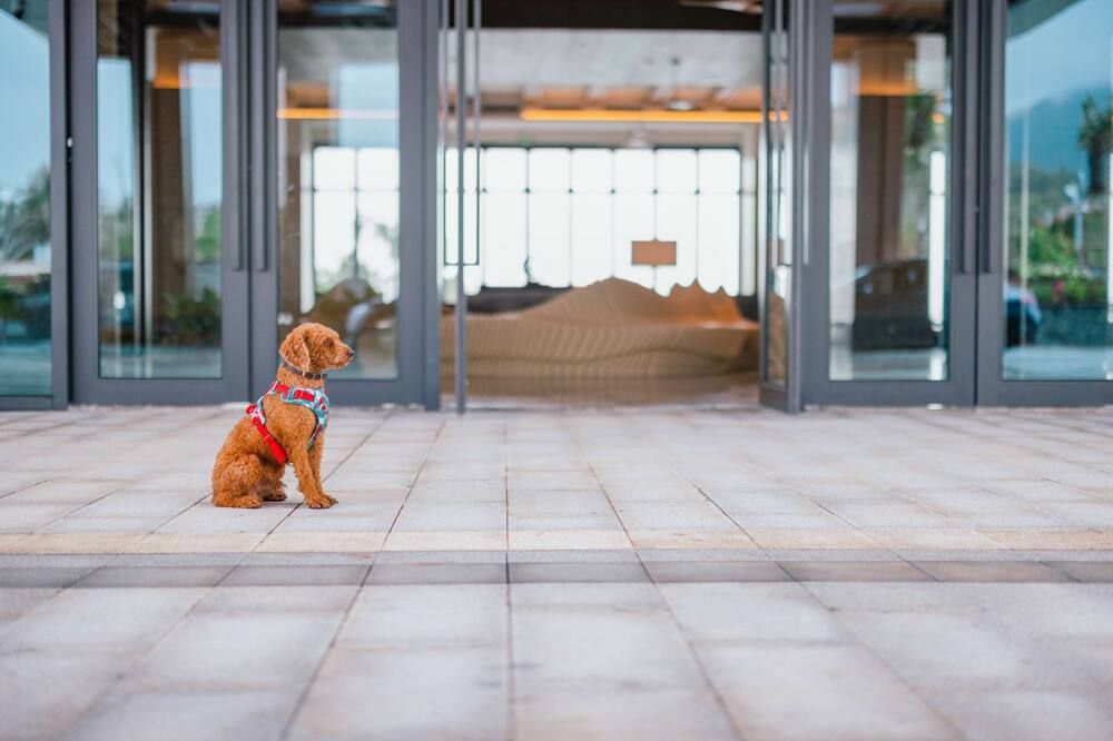 Hyatt Regency Sanya Tianli Bay 写真