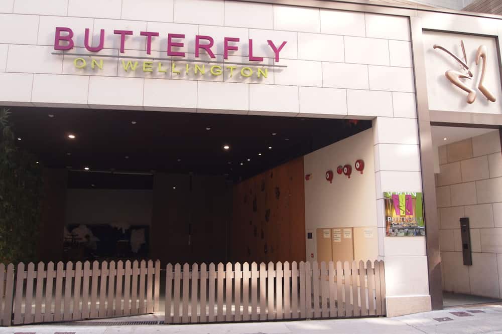バタフライ オン ウェリントン セントラル 写真