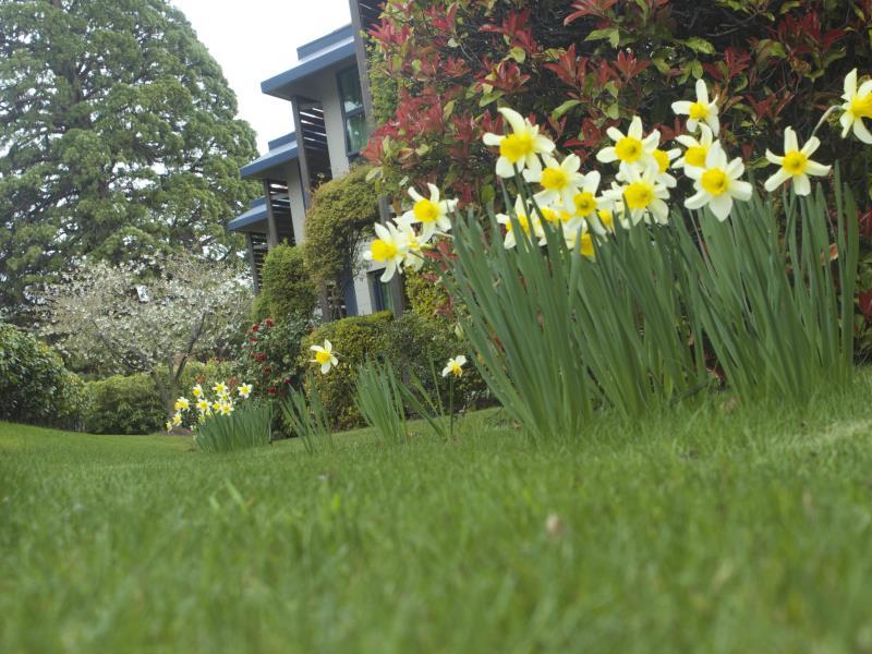 ブルー ピークス ロッジ 写真