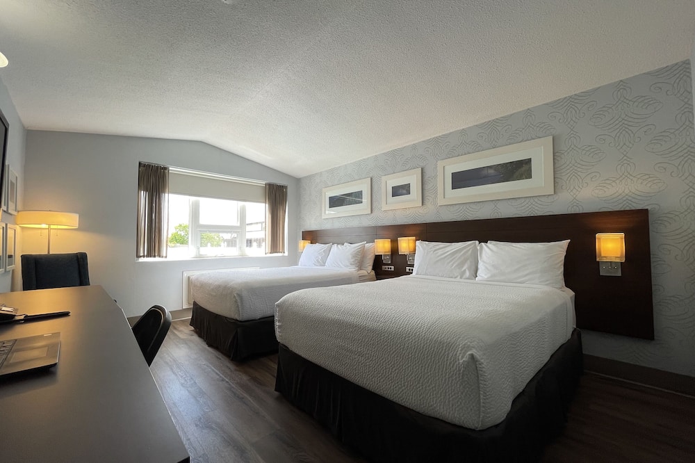 ロッド モンクトン 写真