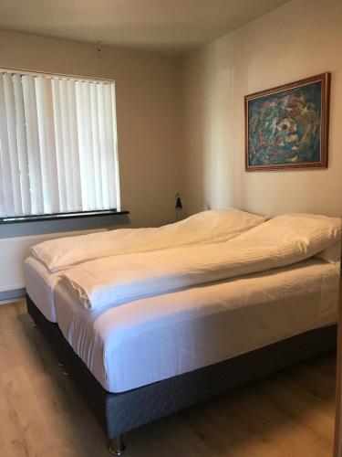 Downtown Apartments at Old Harbor Reykjavík 写真