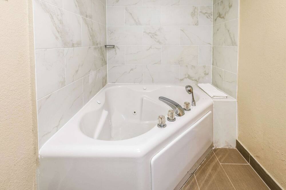 コンフォート イン デトロイト ダウンタウン 写真