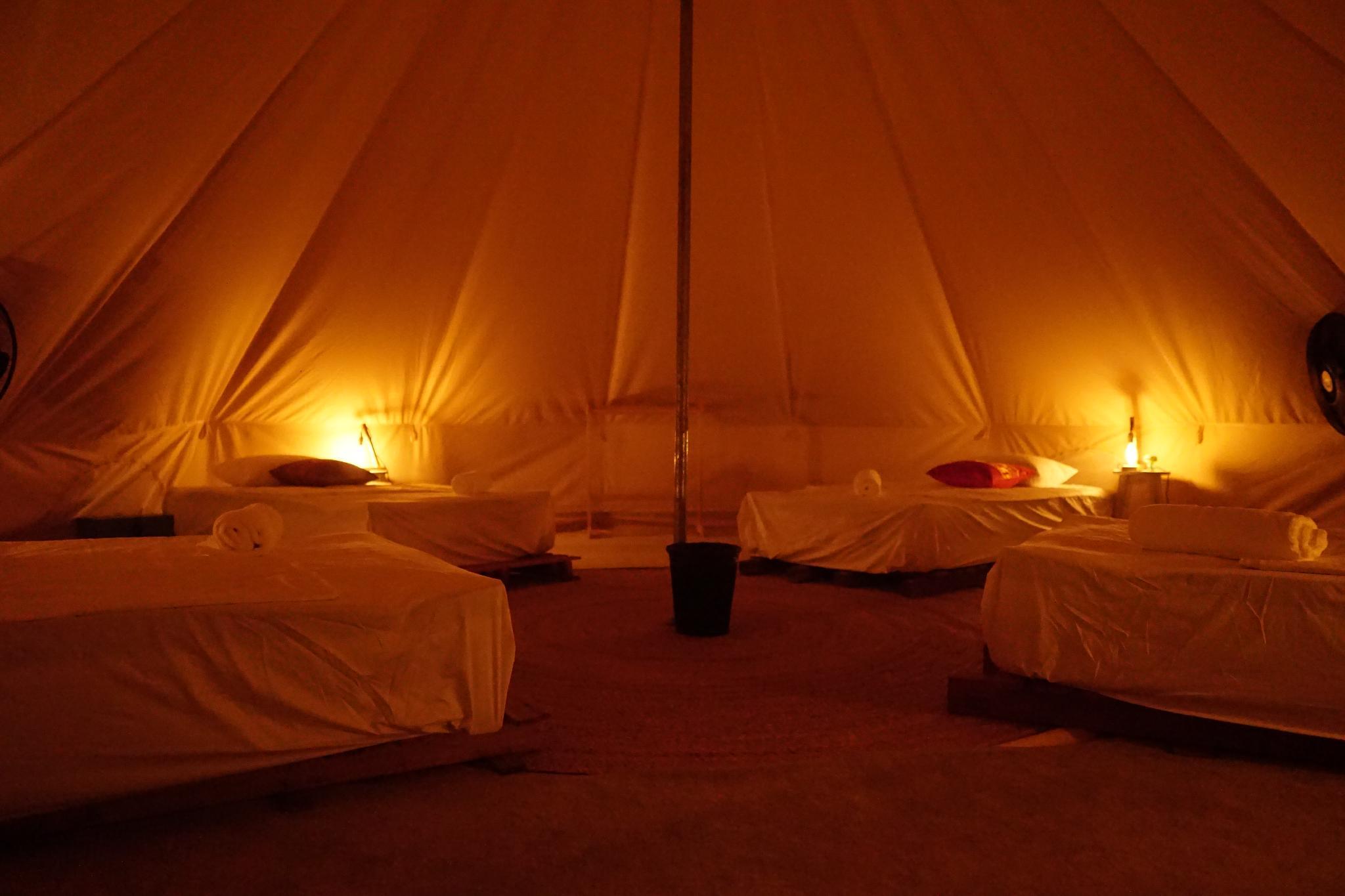 Roost Glamping 写真