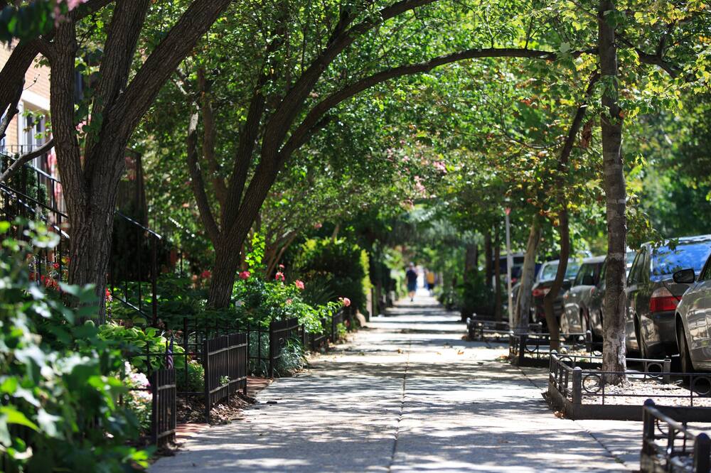 Glover Park Hotel Georgetown 写真