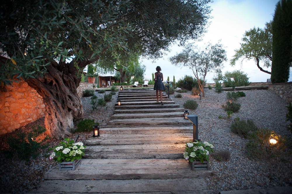 Mas Falgarona 写真