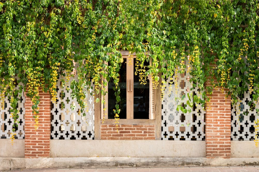 サナエ オールドタウン ホテル 写真