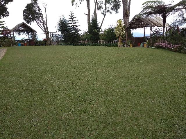 サンライト スイート 写真