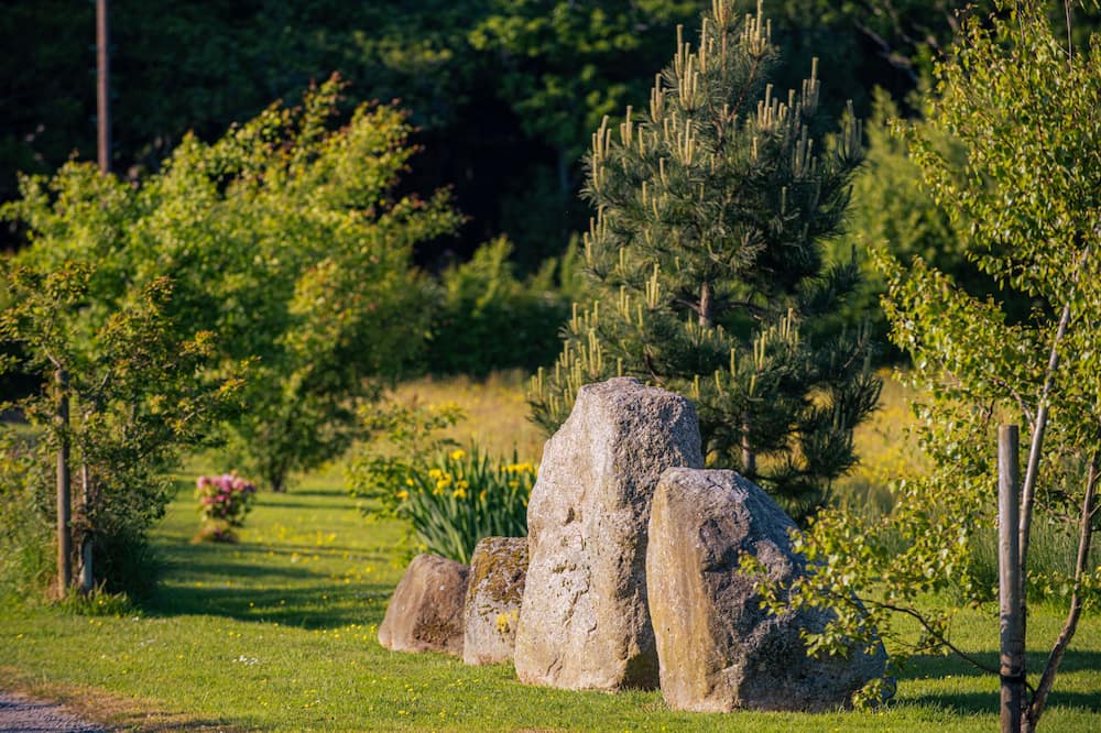 1692 ワズデル 写真