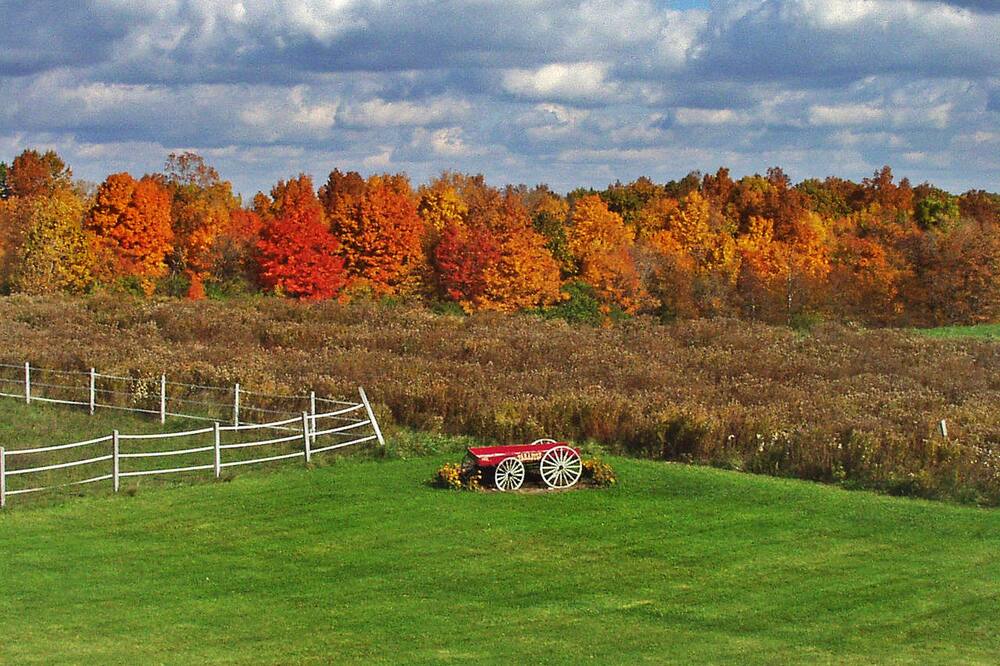 ロス ガトス ベッド & ブレックファースト 写真