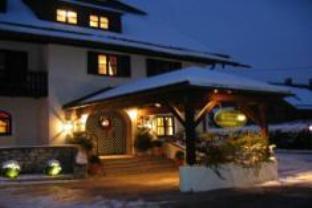 Hotel Friesacher`s Aniferhof 写真