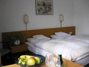 ホテル バルバロッサ ガルニ 写真