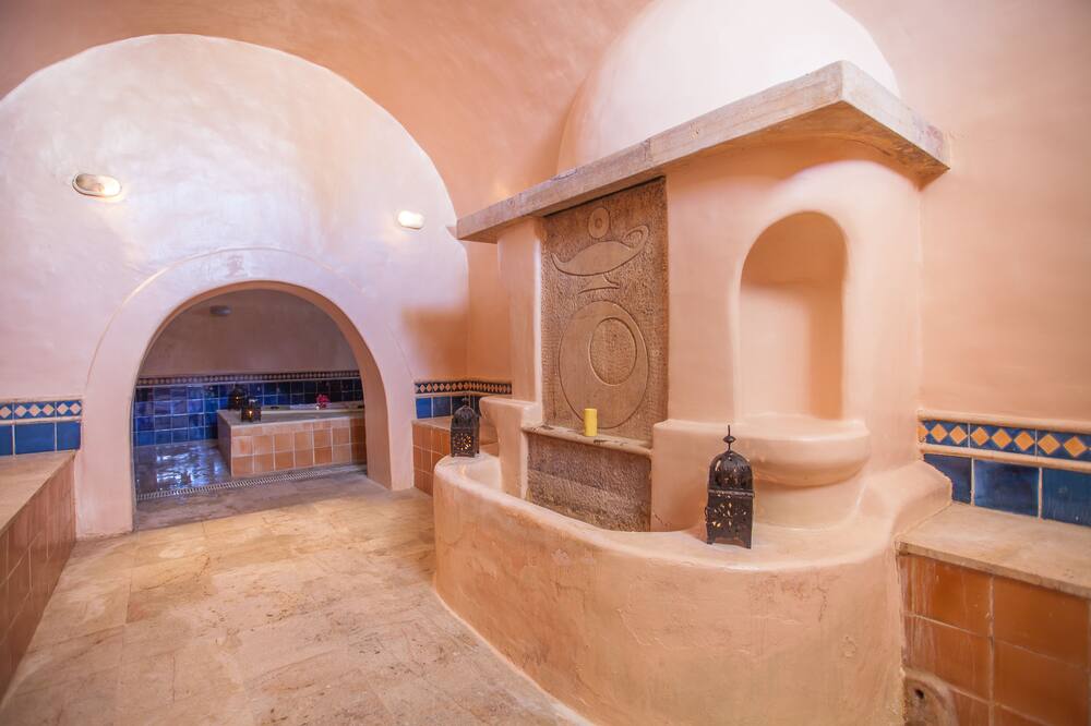 シーベル アラデン 写真