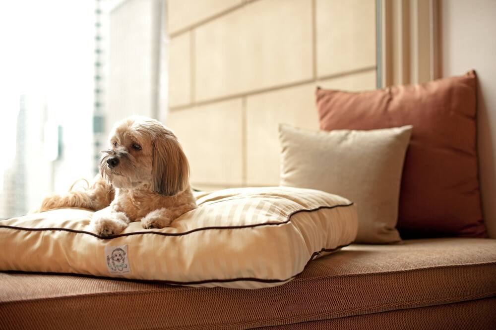 ハイアット プレイス ソルト レイク シティ エアポート 写真