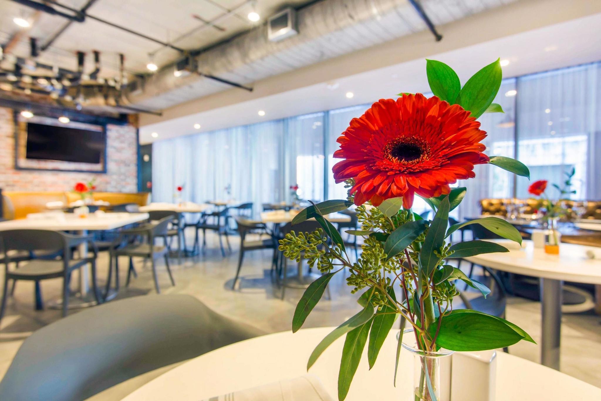 カンブリア ホテル ニュー オーリンズ ダウンタウン ウェアハウス ディストリクト 写真