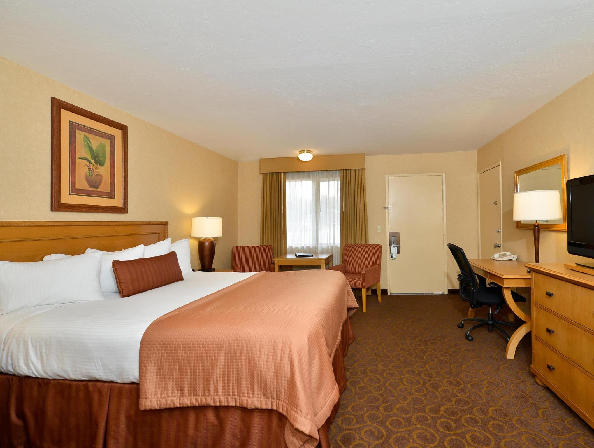 ベストウェスタン プラス パビリオンズ 写真