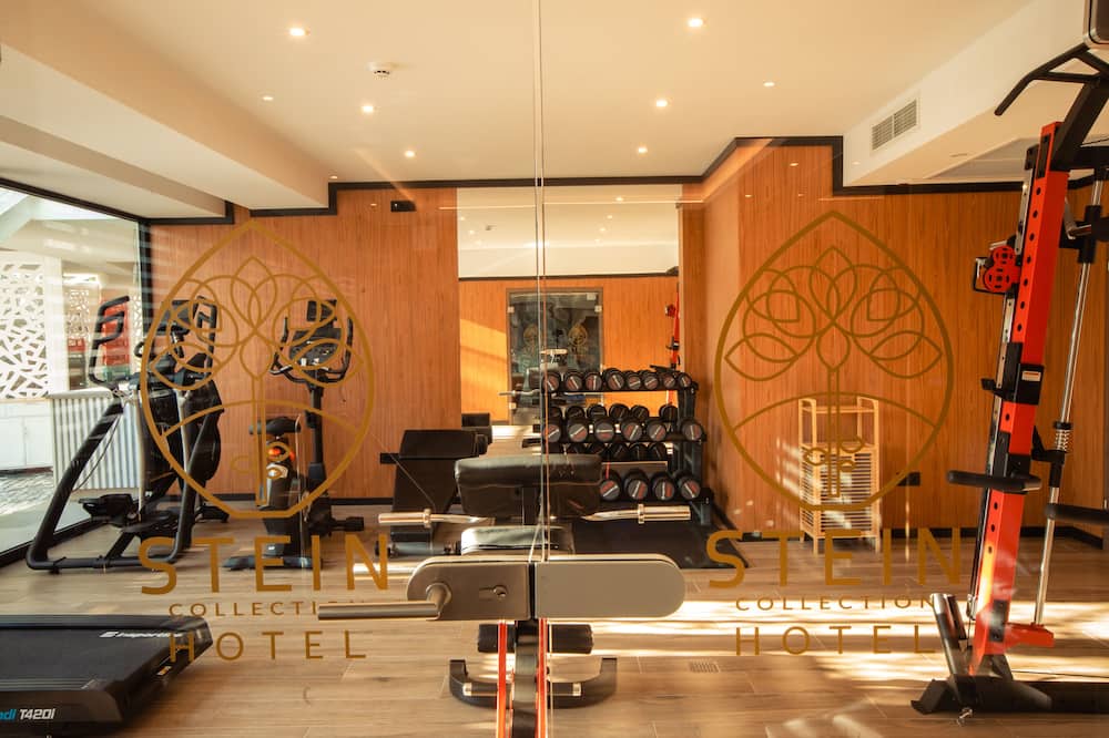 シュタインコレクション 写真