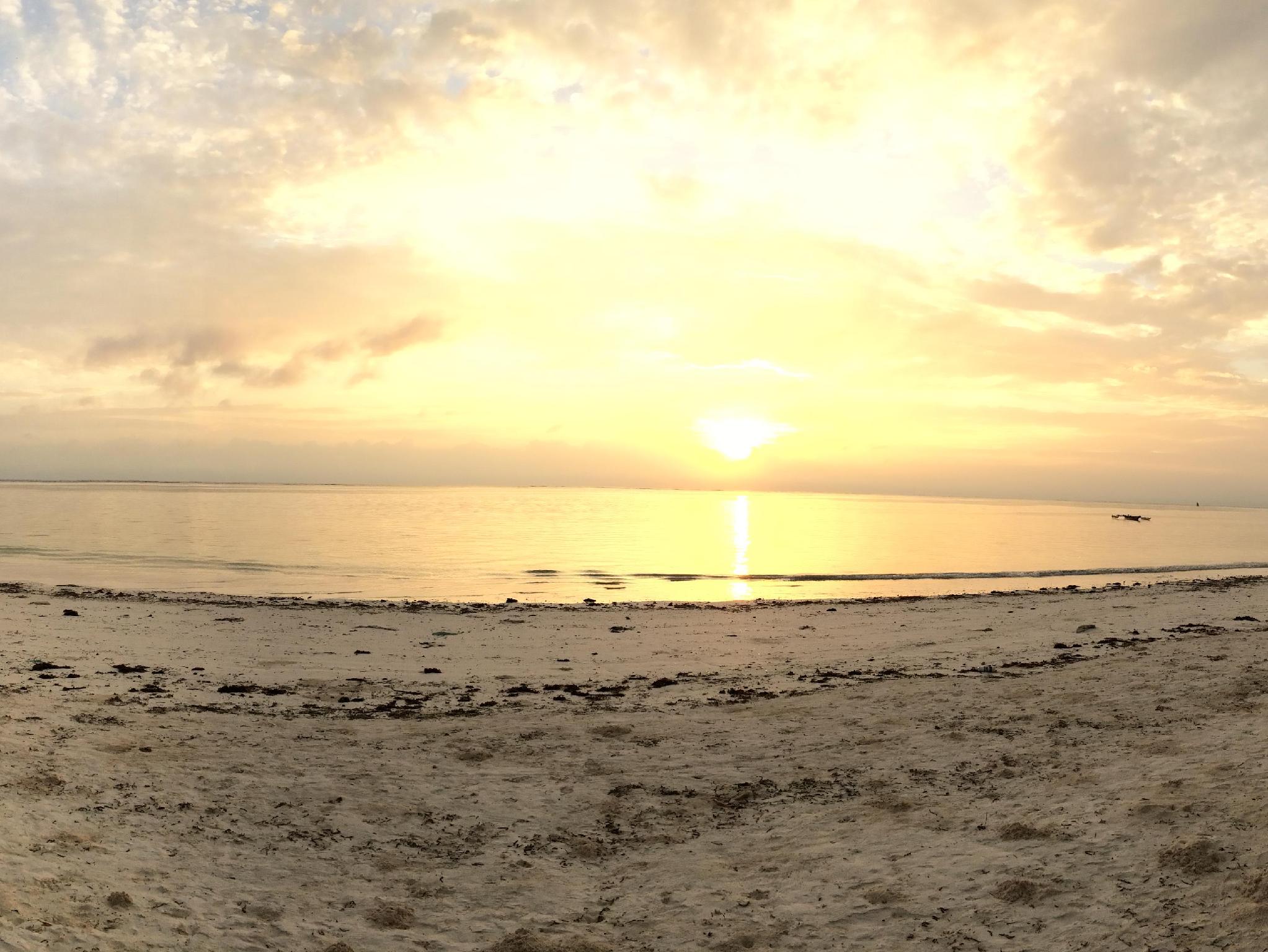 サハリ ザンジバル 写真