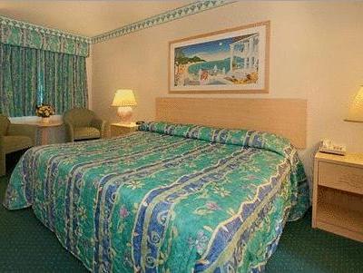 モロー ベイ サンドパイパー イン 写真