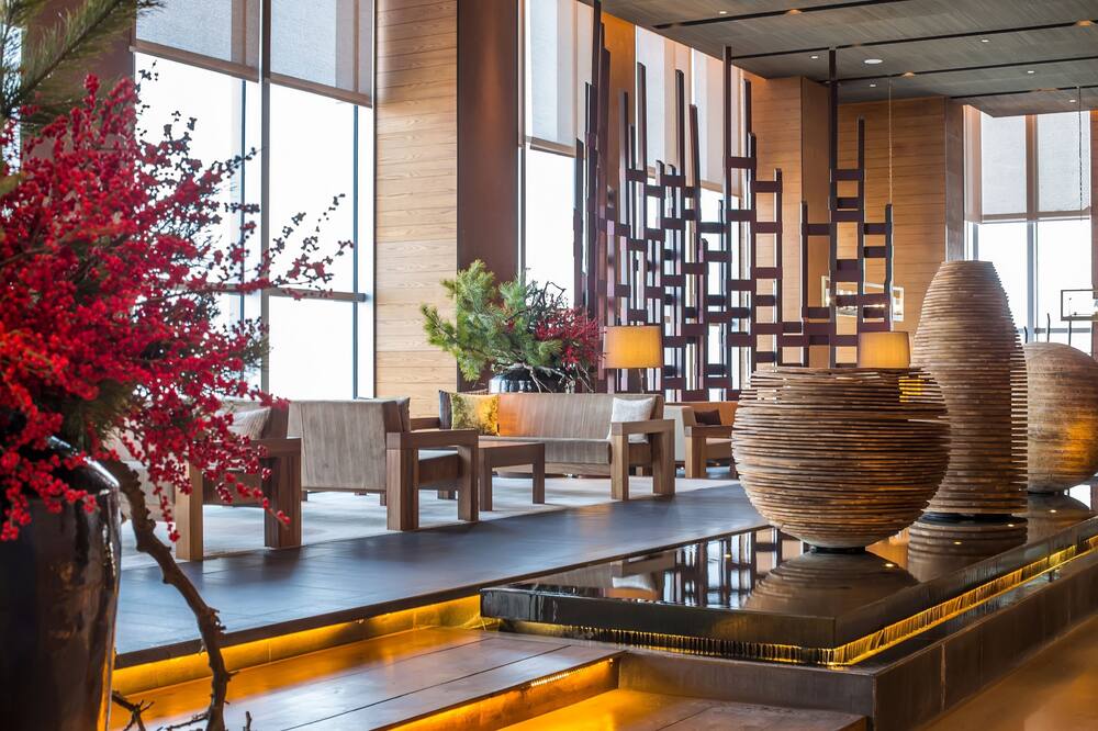 AOLUGUYA   The Unbound Collection by Hyatt 写真