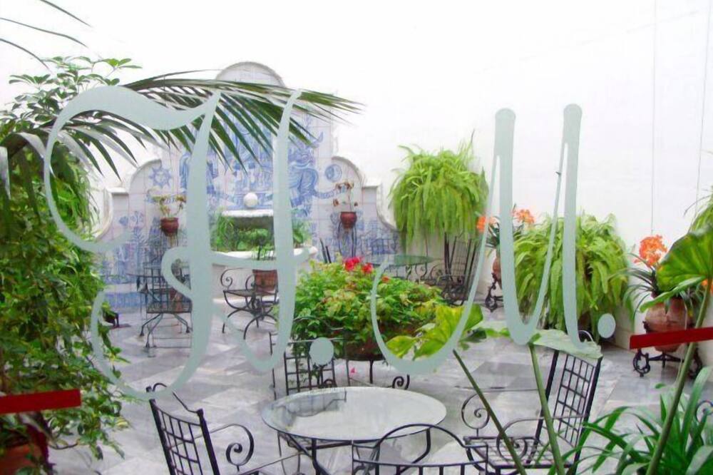 マエストレ 写真