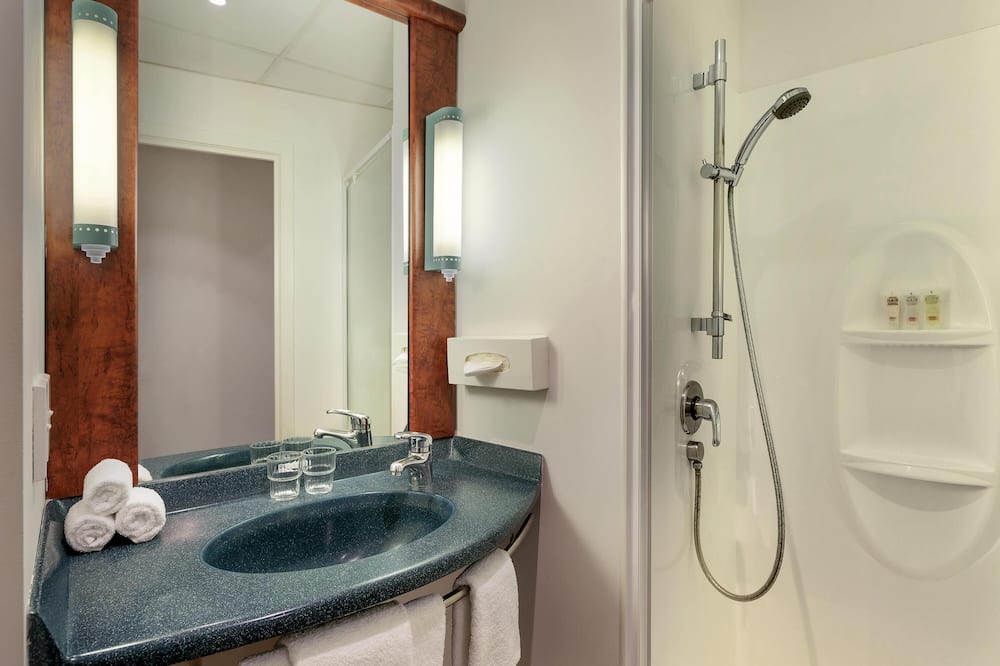 イビス ウェリントン 写真