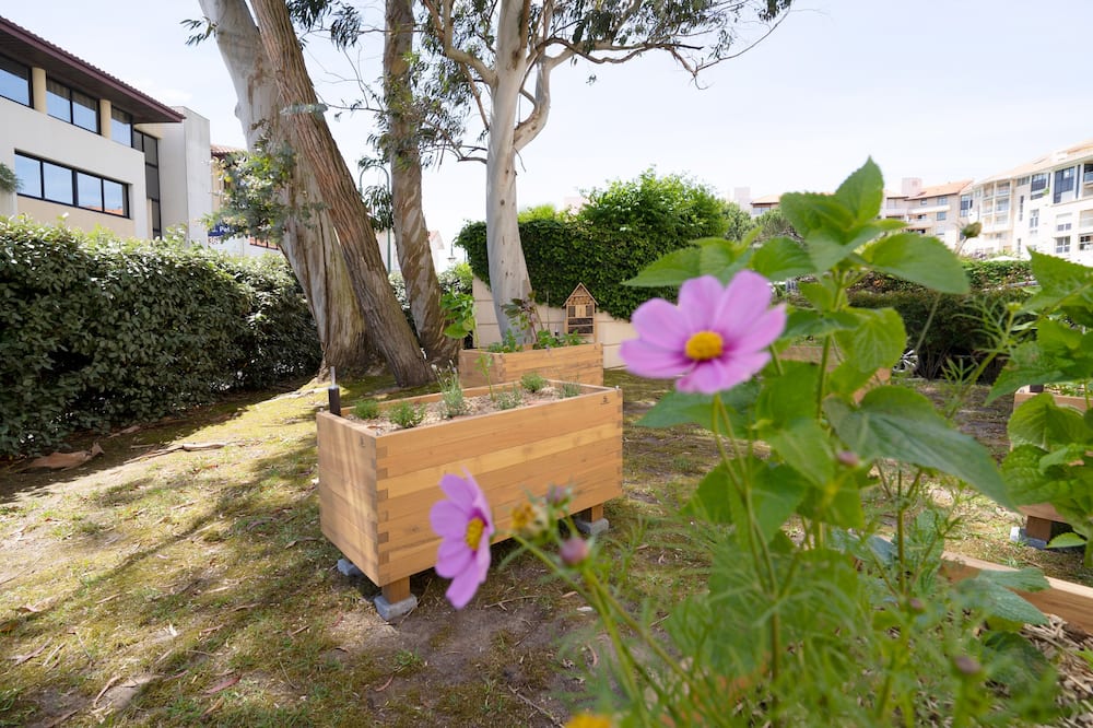 Hôtel Jules Verne Biarritz 写真