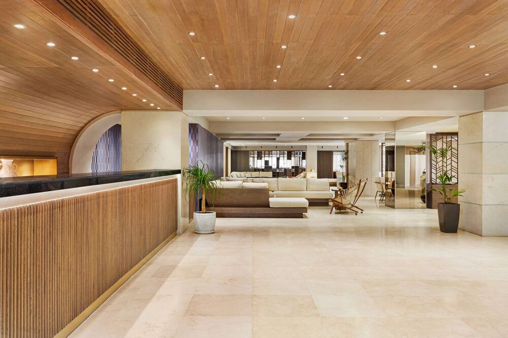 ゼウス エレバ ミラベロ ベイ 写真