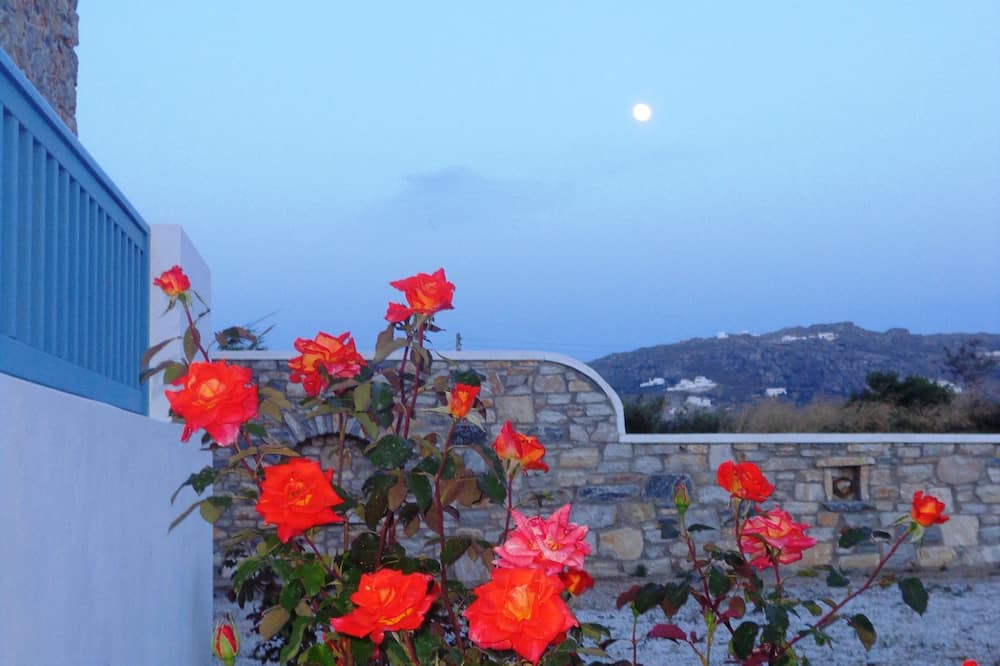 ブルー ハーモニー アパートメンツ 写真