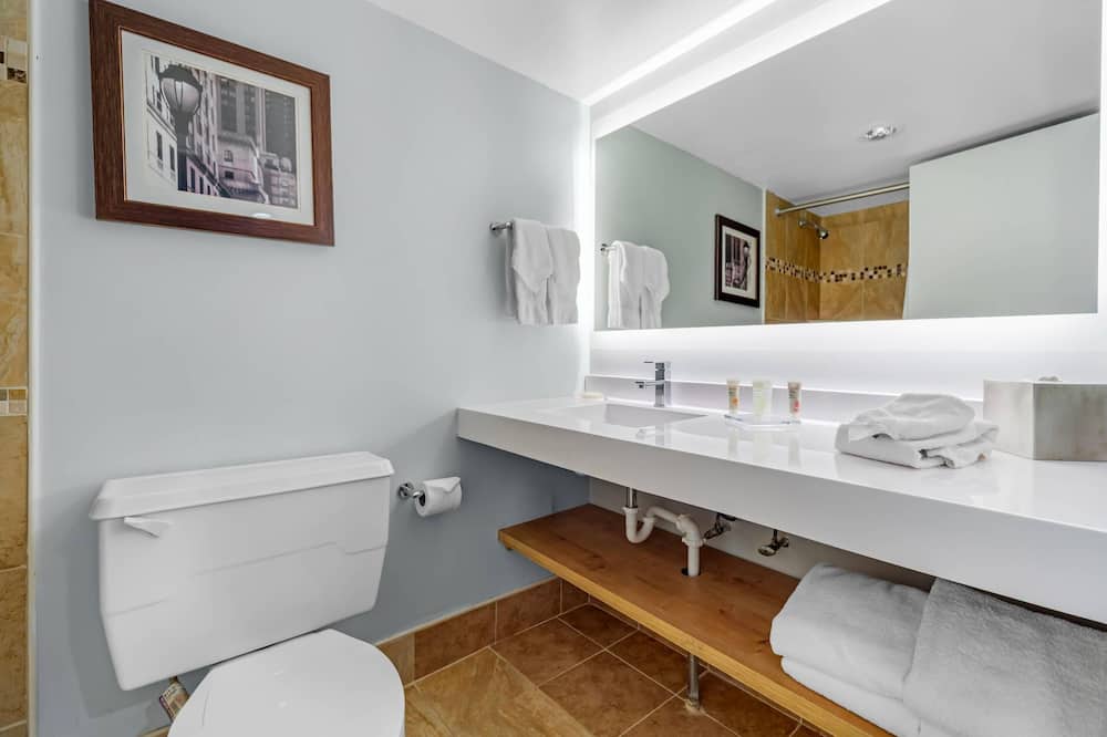 ラディソン ホテル フィラデルフィアノース 写真