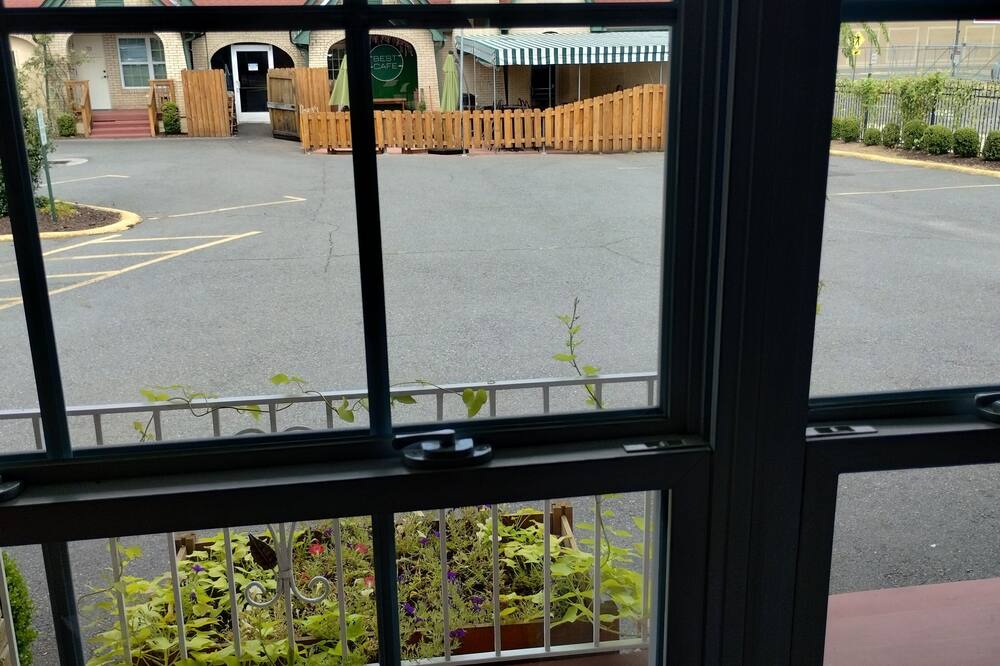 ベスト コート 写真