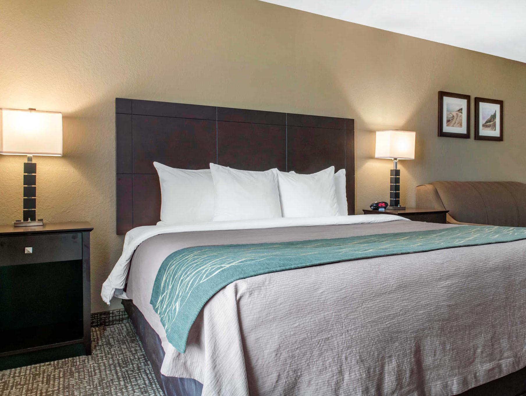 コンフォート  イン & スイーツ ポーター ニア インディアナ デューンズ 写真