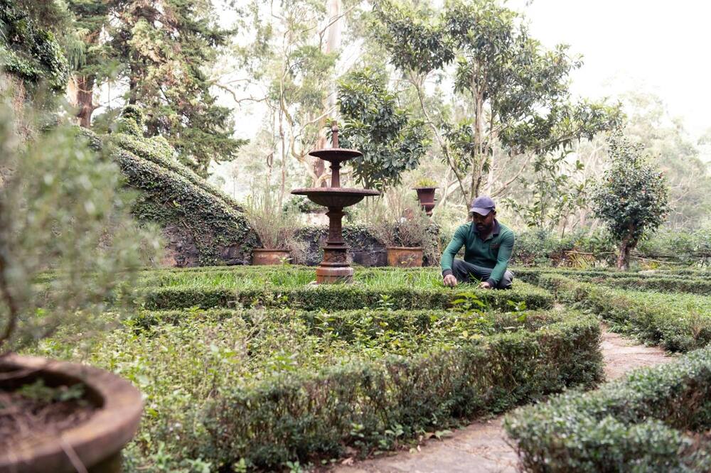 ジェットウィング ウォーリック ガーデンズ ア ラグジュアリー リザーブ 写真