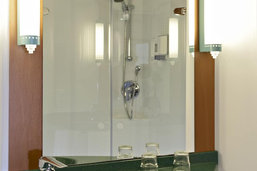 イビス フリブール 写真