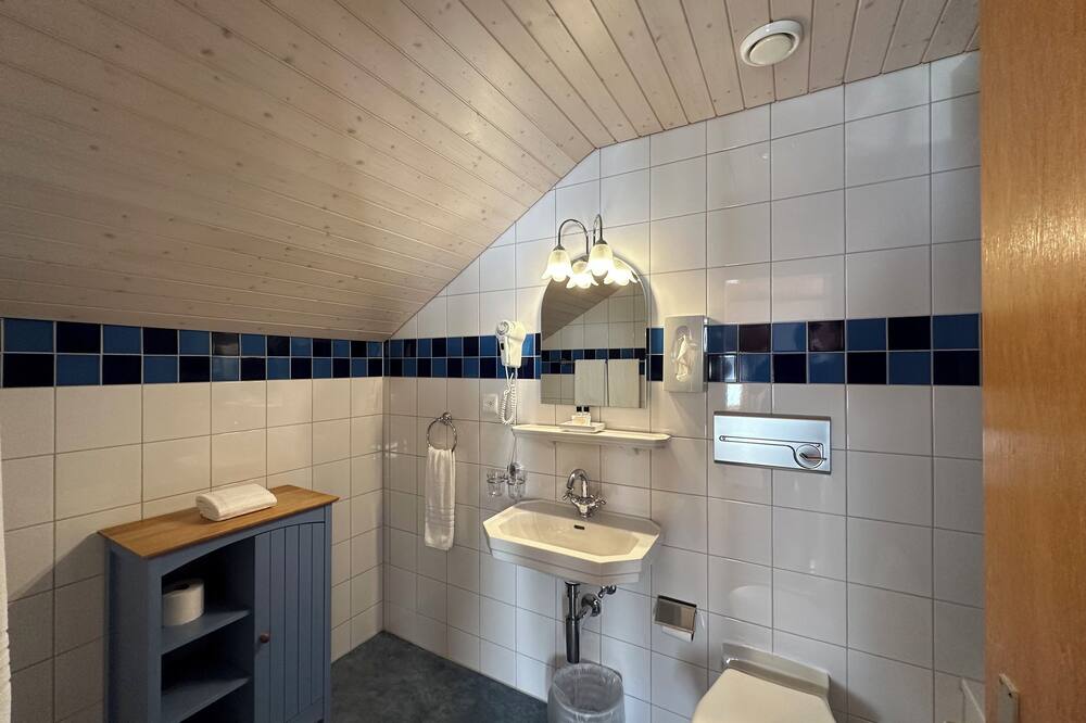 ホテル シャレー スイス 写真