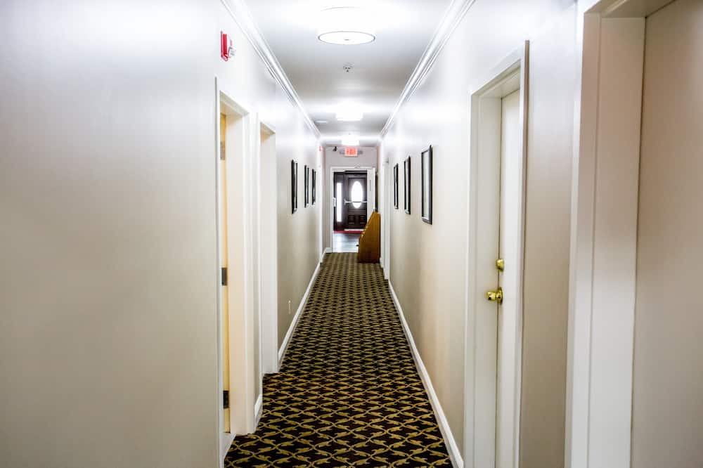 ザ ホテル ハリウッド 写真