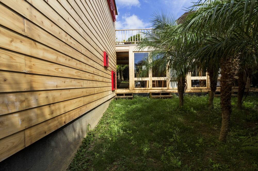 アズール シングラー 写真