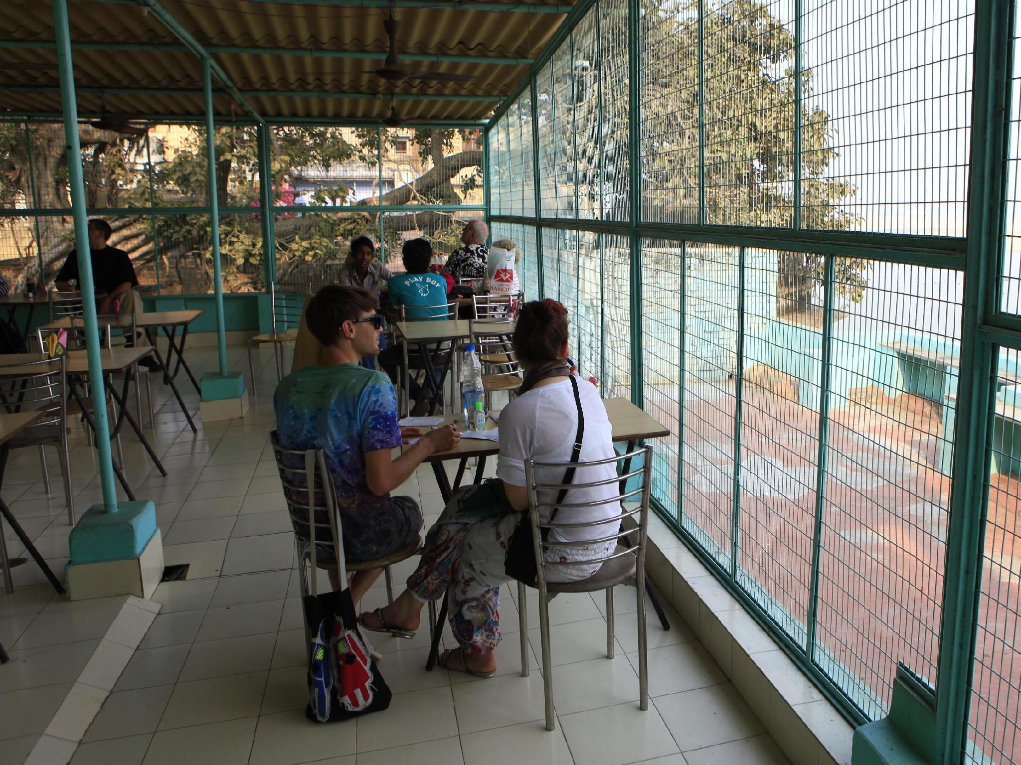 パレス オン ステップス 写真