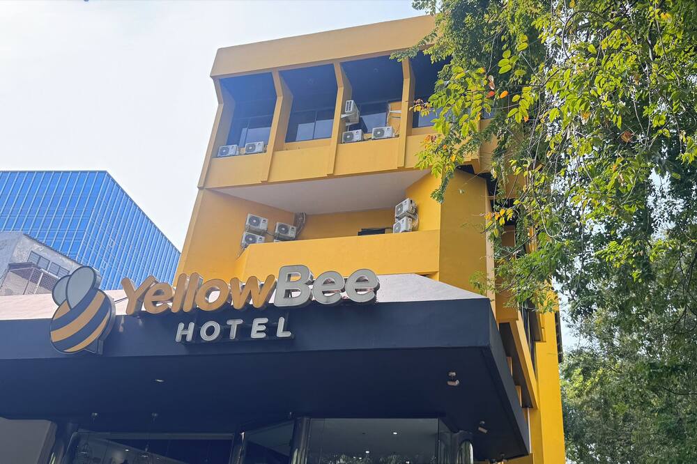 イエロー ビー タナ アバン 写真