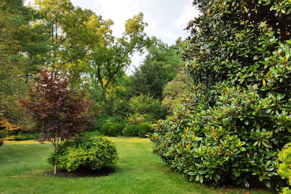 ザ ハミングバード イン ベッド アンド ブレックファースト 写真