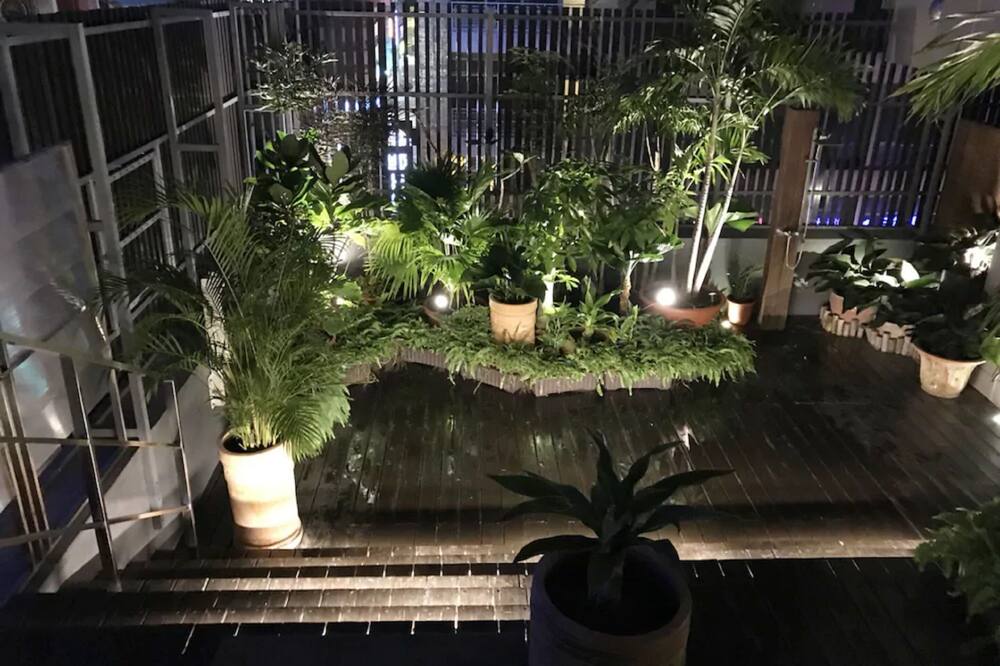 ザ ツリー ハウス 写真