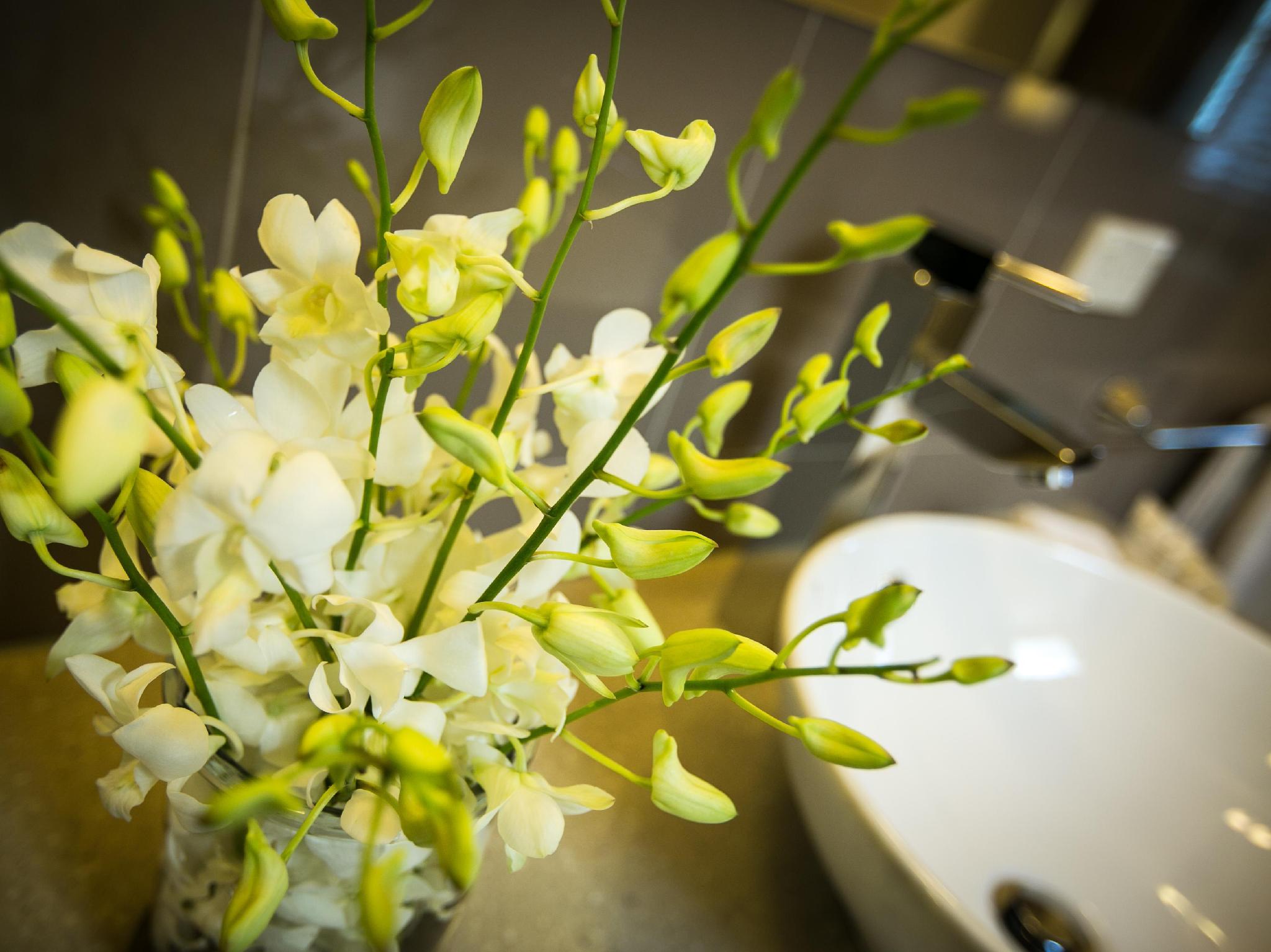 ギャラリー アパートメンツ 写真